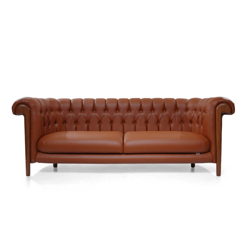 modern leather chesterfield sofa cane