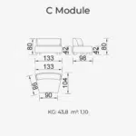 C Module