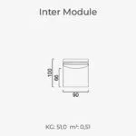 Inter Module