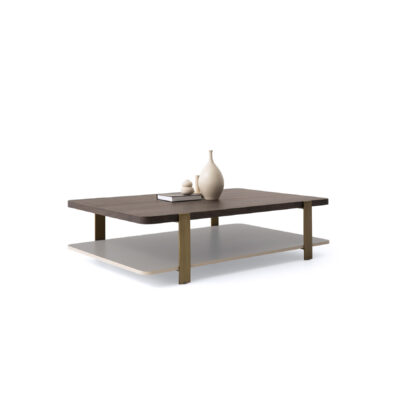 table basse rectangulaire à deux niveaux vue d'ensemble avec pieds en métal brossé
