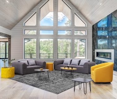 modern sofa set minion